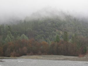 photo of misty hills